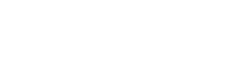 Apex Software Consulting Inc